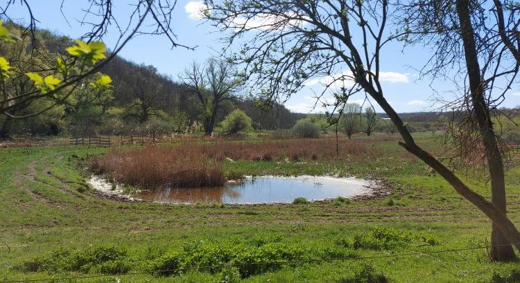 Öt éven át 355 ezer Ft/ha? Pályázzon vízvisszatartásra!