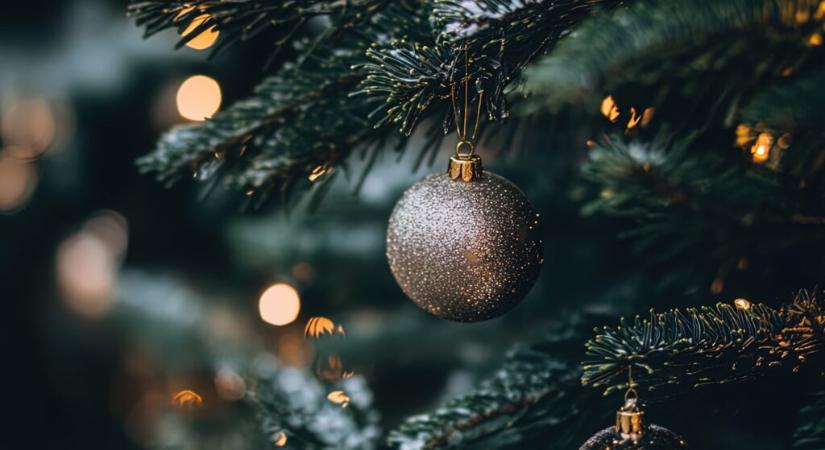 Karácsonyi díszben Bajmok fenyői