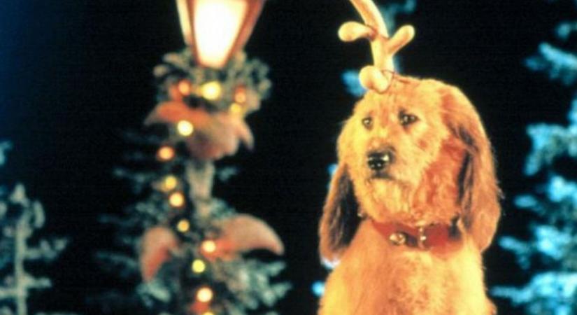 Felkapott a Netflixen: Rákaptak a magyar nézők Jim Carrey kultfilmjére, már a TOP 3-ban!