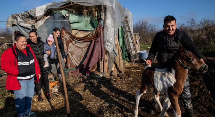 „Az ő életükben már nem lesz villany, de majd a gyerekeiében biztosan”