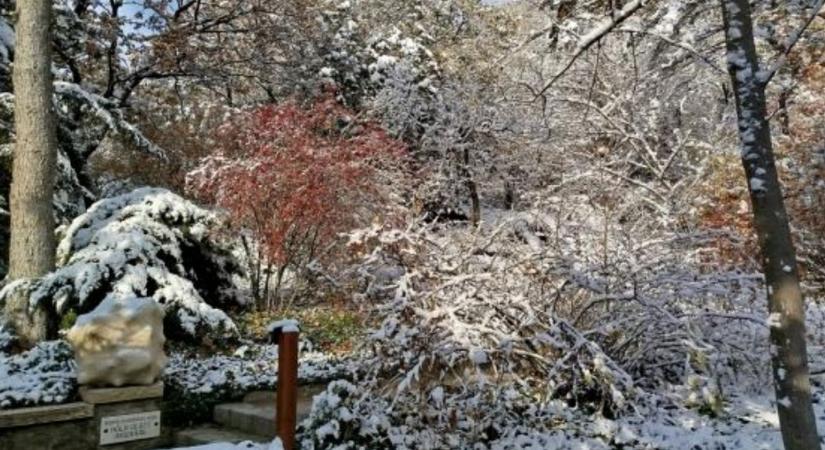 A természet idén sem kímélt: rendkívüli események a nemzeti parkban