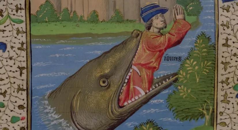 Lenyelhet-e egy bálna egy embert – most megtudhatja az igazságot