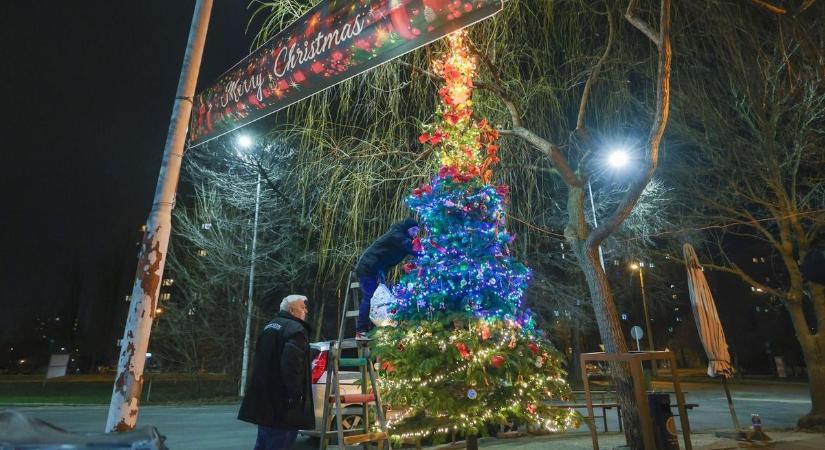 Ez nem csak egy karácsonyfa: Szeged egyik kocsmája évtizedek óta csodát tesz – galériával, videóval
