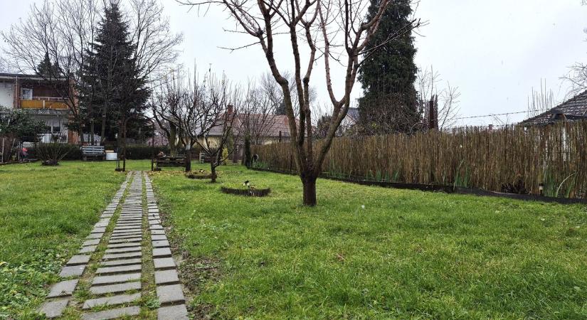 Megérkezett! Ekkora pelyhekben hullik a hó a zalai településen (videó)