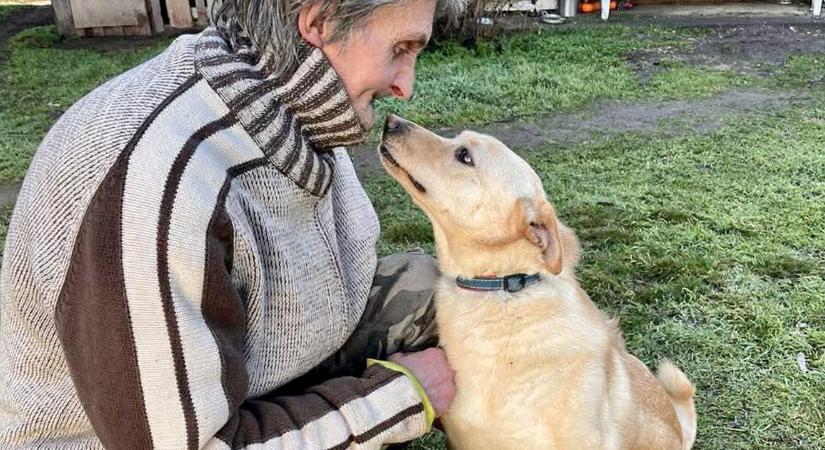 Hatvannál is több csomagot kapott karácsonyra a debreceni menhelyen élő férfi