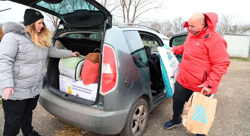 Két hétig senki nem adott semmit a szolnoki menhelynek – aztán jött az óriási fordulat – galériával, videóval