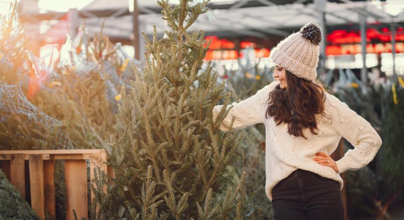 Miért lesz egyre több „zöld karácsony”? A hómentes tél hatása Európában