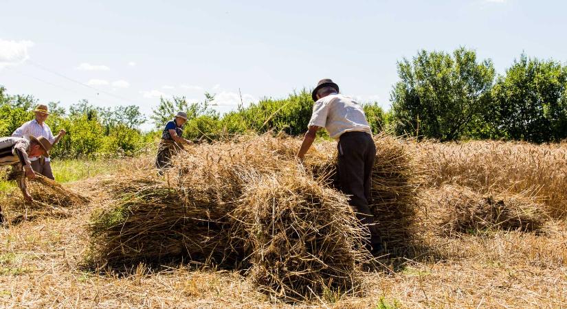 Maszol: ezek voltak a legérdekesebb erdélyi hírek 2025-ben