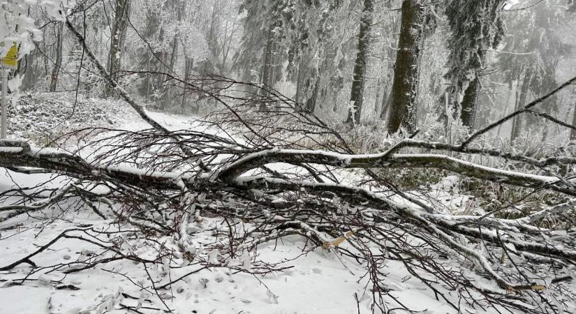 Szánkózni, kirándulni indulók figyelem! Veszély leselkedik a havas Kőszegi-hegységben - fotók