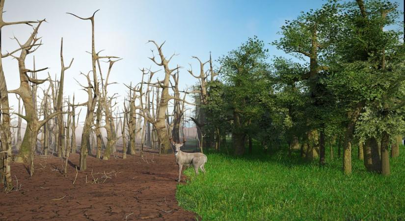 Kiderült, melyik terület a legveszélyeztetettebb a klímaváltozásban