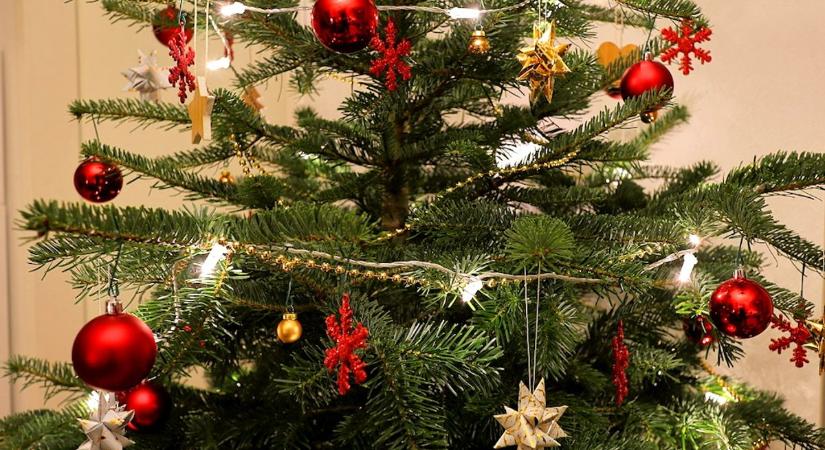 Tippek, hogy sokáig üde maradjon a karácsonyfa