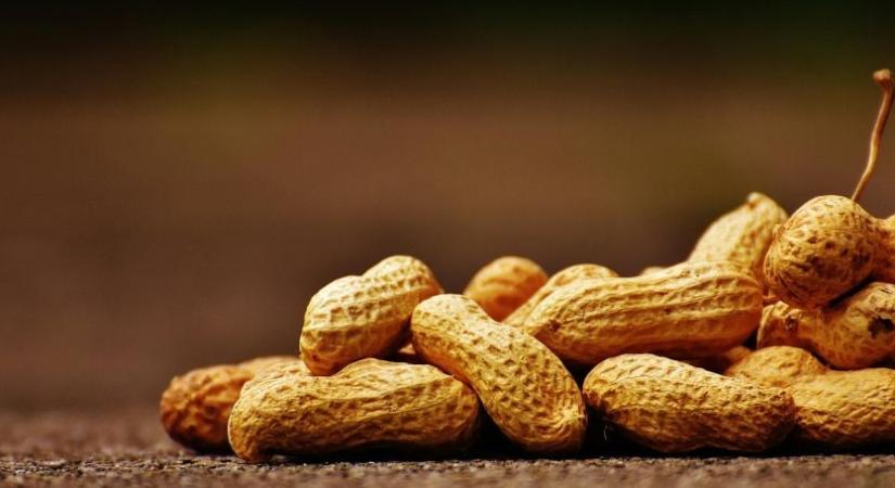 Riasztás a boltokban: visszahívják a népszerű mogyorót – semmiképp ne fogyaszd el, ha vettél ilyet