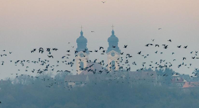 Példamutató óévbúcsúztató Tatán, amely egy fontos üzenetet is hordoz