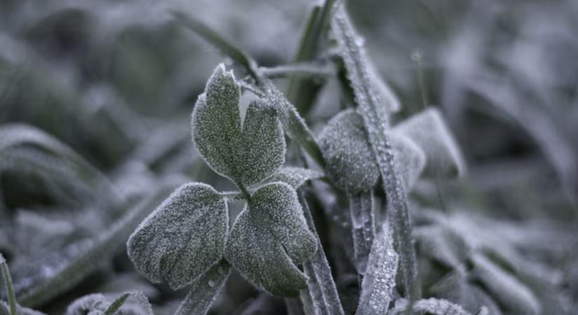 Hóért, hidegért könyörögnek a termőföldek