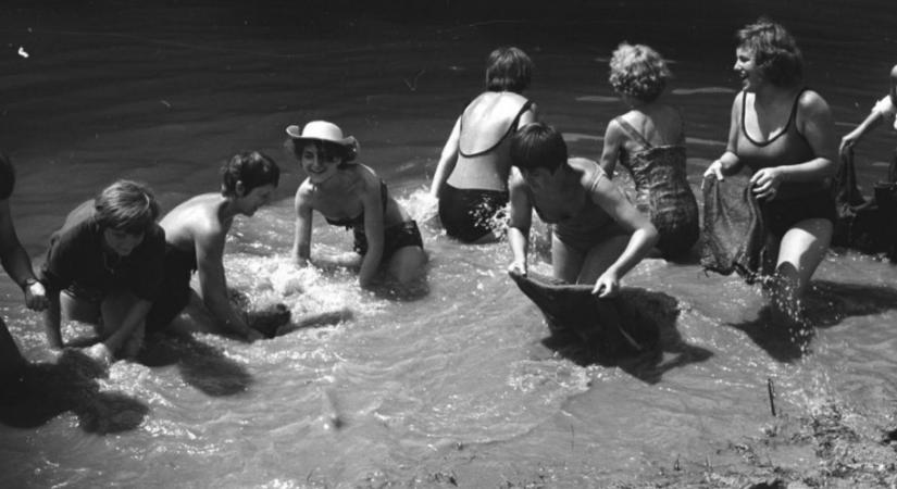 Mohács és az évszázad árvize – amikor a Duna próbára tette a várost