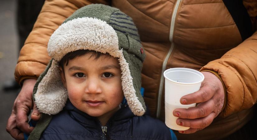 Szeretetlakoma a Népligetben - Galéria