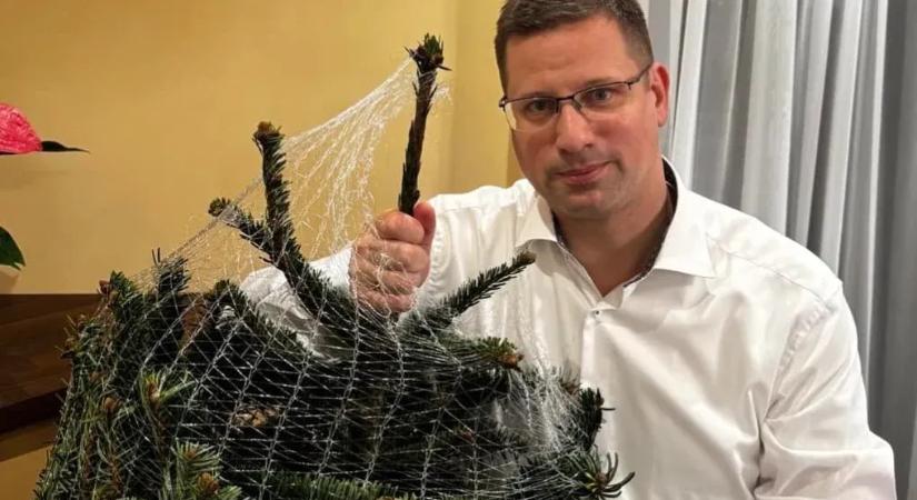 Egy év kihagyás után visszatért Gulyás és karácsonyfa – így ünnepelnek a politikusok