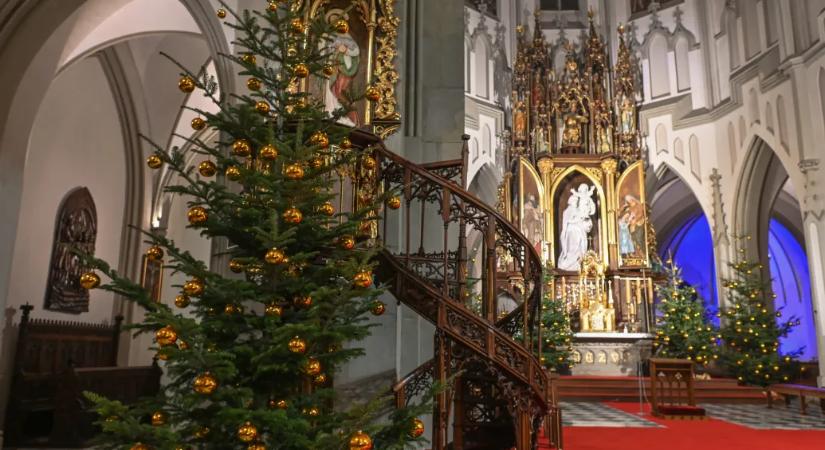 Isten nem palotában, hanem kunyhóban van jelen, és ez igaz a Szőlő utcára is