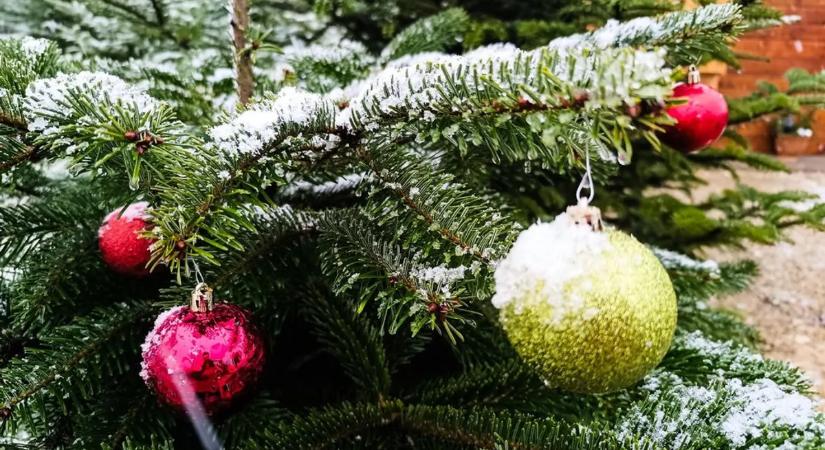 Megérkezett a fehér karácsony az ország egyes részeire - fotók és videók