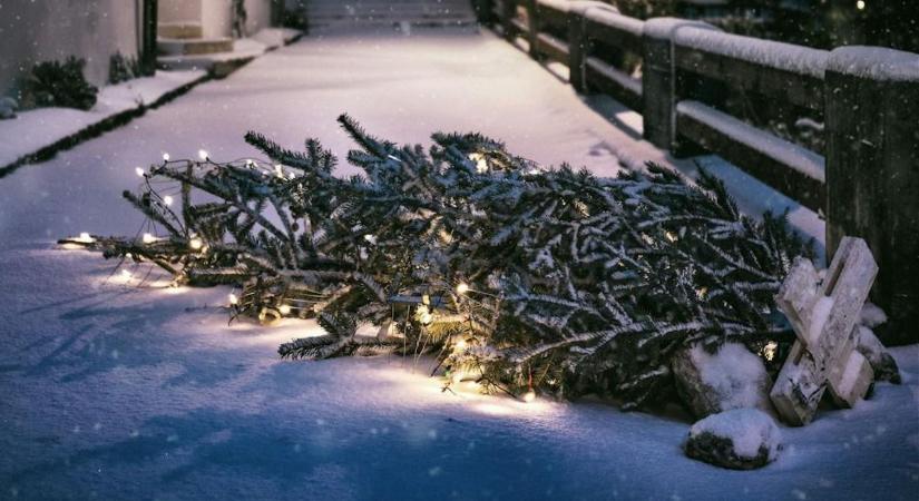 Nincsenek szavak: elgázolta az autós a város 12 méteres karácsonyfáját – Videó