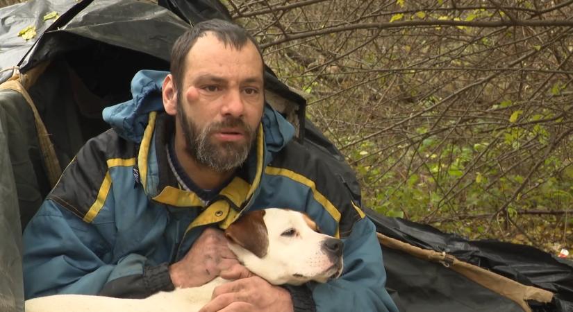 Sátorban él a kutyájával – a segélyszervezet jelenti számára a reményt