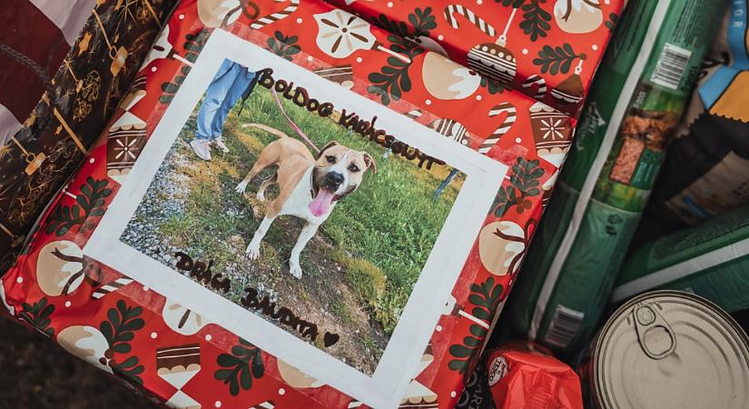 Van, ahol már néhány nappal ezelőtt járt a Jézuska