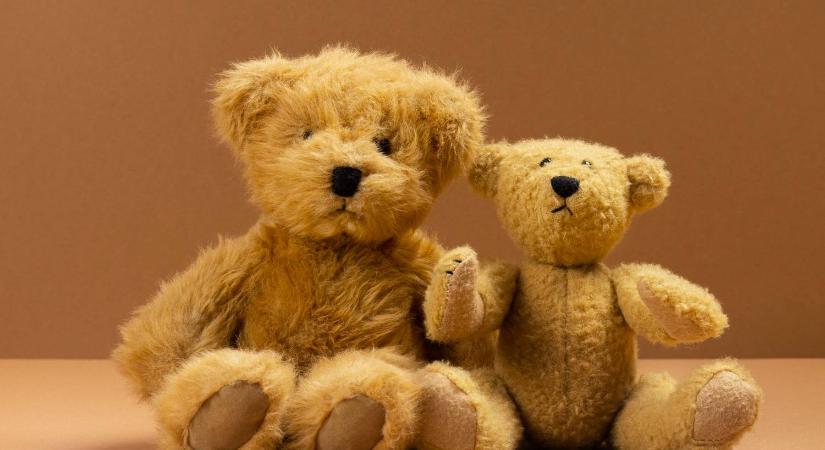 A tudósok felfedték, miért nem szabad plüssmackót venni a gyerekeknek