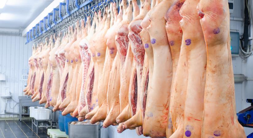 Döntöttek az amerikai sertéshúsról: ez nagy változásokat hozhat a piacon