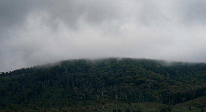 Havi négyszázezer forintot ér a szerzetesek önkéntes munkája