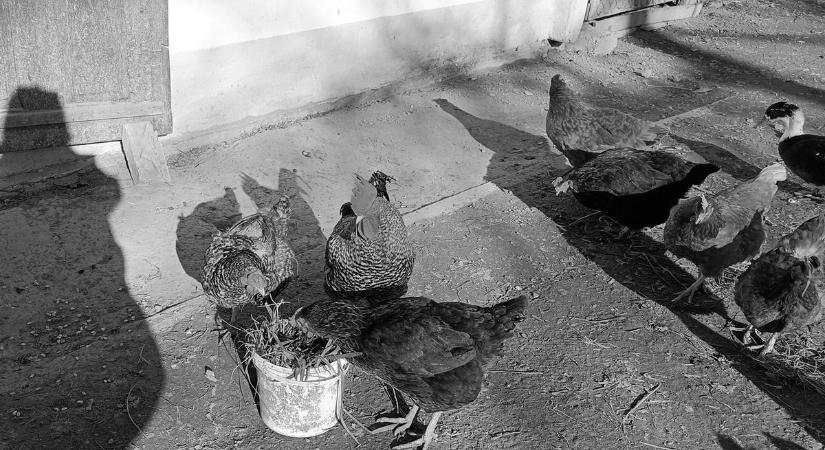 A hiedelmek a szentestét is átszőtték – Vajon miért füleltek ekkor a fiatal lányok?