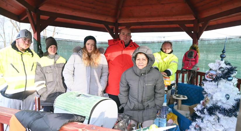 Senki nem vitt adományt a szolnoki menhelyre – karácsony előtt jött a hatalmas meglepetés