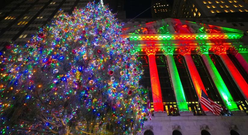 Mitől van olyan vonzó illata a karácsonyfának? Mutatjuk a meglepő választ