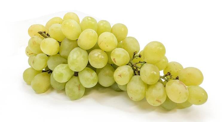 Meglepő újdonság: így hódít Európában a vattacukor ízű szőlő