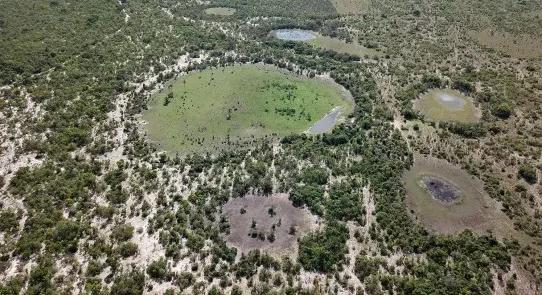 Különleges „tündérkörök” Magyarországon – erre jutottak a kutatók