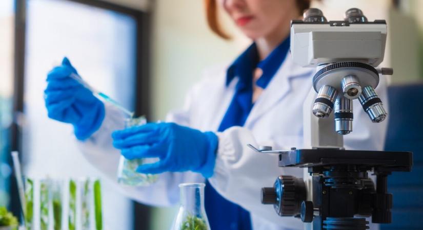 Hatalmas áttörés a rák elleni harcban – találtak valamit, ami elpusztítja a rákos sejteket