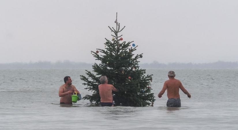Lovas kocsin érkezett a Balaton medrében felállított karácsonyfa (galéria)
