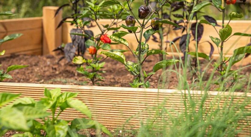 A magaságyással egy dolgot mindenképpen meg kell tenni télen, szánjuk rá az időt