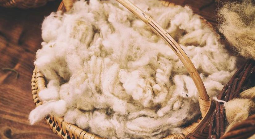 Elképesztően drága anyag, mégis elpazaroljuk: 4 kevésbé ismert mód a gyapjú felhasználására