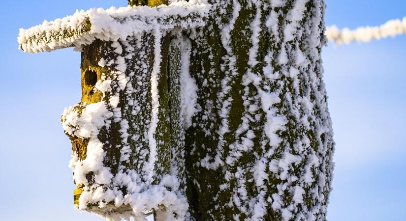 A téli etetők 10 leggyakoribb hibája – és javításuk