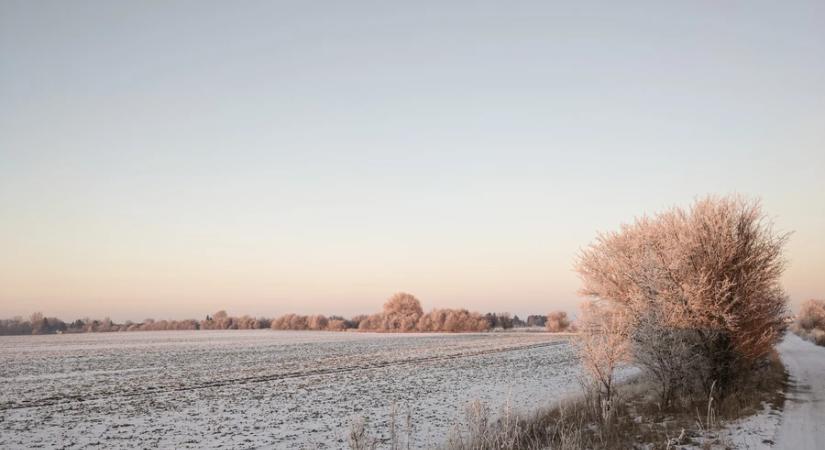 Agrometeorológia: nagy szükség lenne a földeken a hóra és a hidegre