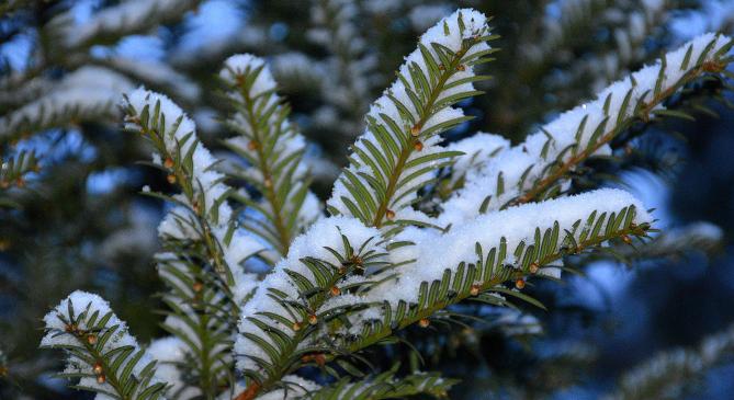 Fehérbe öltözött a Nyugat-Dunántúl karácsony reggelére