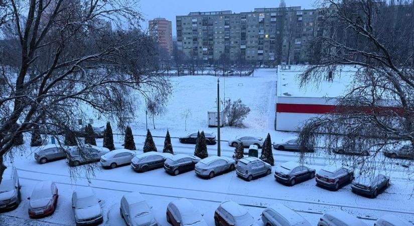 Fehér paplan alatt Sopron - fotók