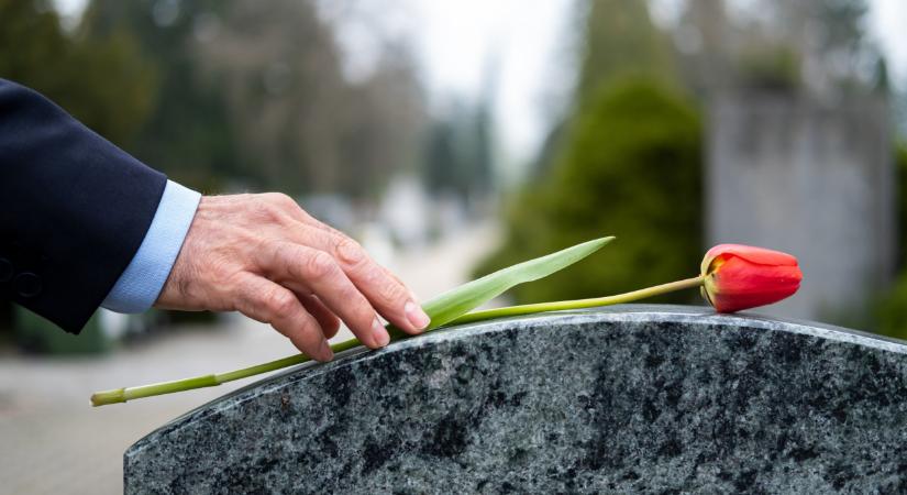 Lehull a lepel a titokzatos strómanokról: így játsszák át az állami vagyont hajléktalanoknak, titokzatos külföldi csalóknak