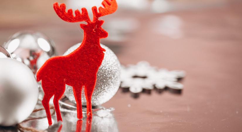 Rudolf igaz története