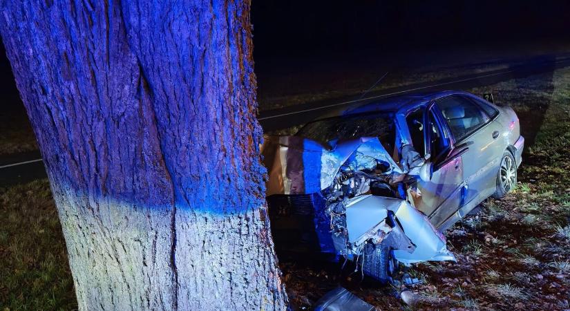 TRAGÉDIA: Egy nagyobb fa törzsének ütközött, szörnyethalt a sofőr