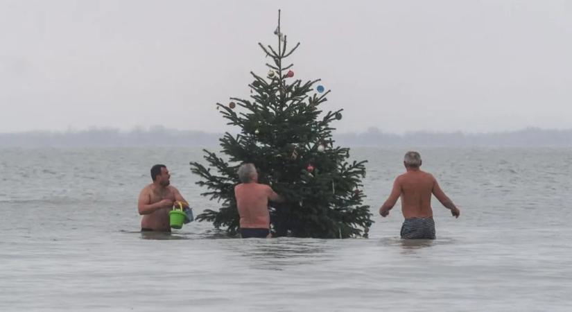 Látott már karácsonyfát a Balatonban? Mindenképp látnia kell ezt a videót