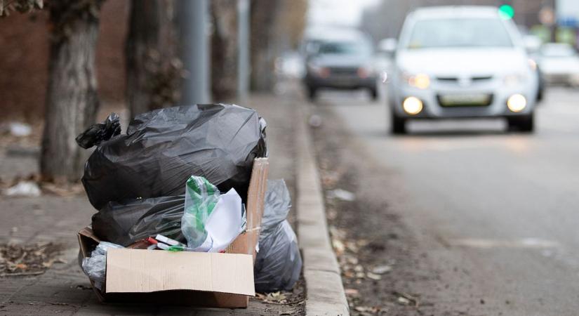 Megmozdult a fekete zsák a 4-es főút mellett, belenézett a ceglédi pár – ezek voltak a májusi legek