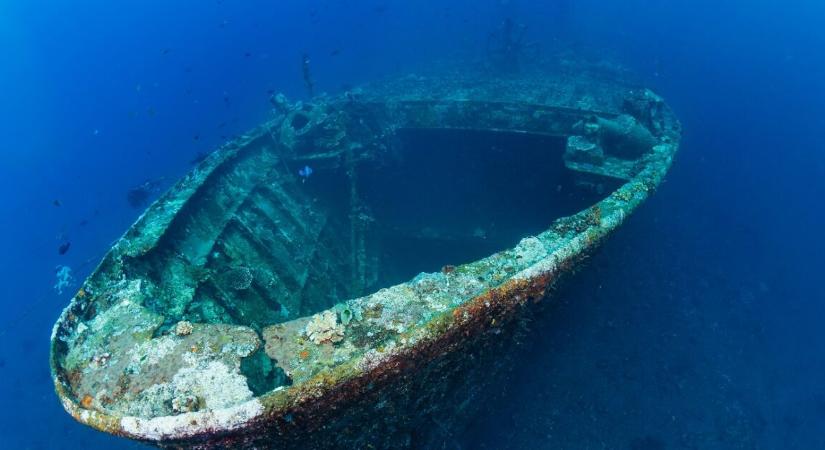 A karácsonyfa‑hajó tragédiája – soha nem értek oda