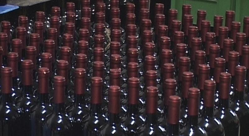 3 millió hektoliter újbor készült idén hazánkban