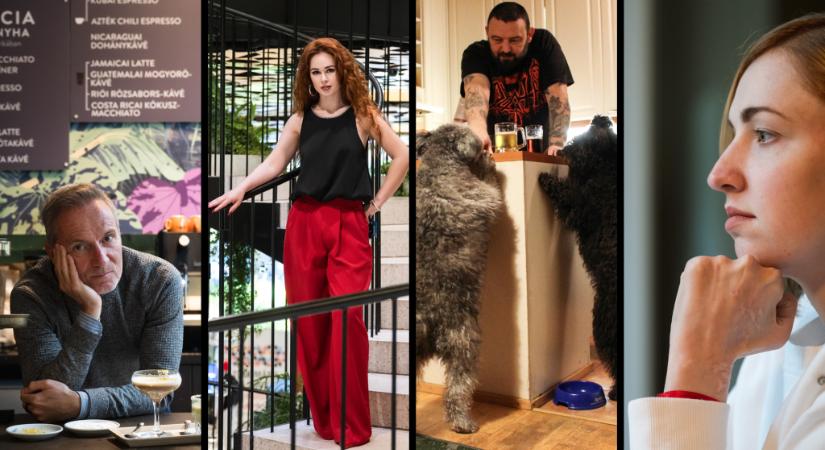 Frei Tamástól David Cronenbergen át a piliscsabai ex-tengerészgyalogosig – kedvenc interjúink 2025-ből